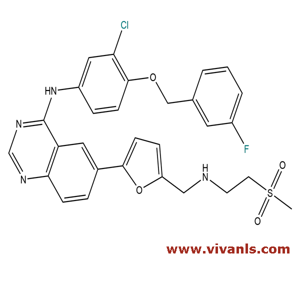 Stable Isotope Labeled Compounds-Lapatinib 13C 2H7-1663328561.png